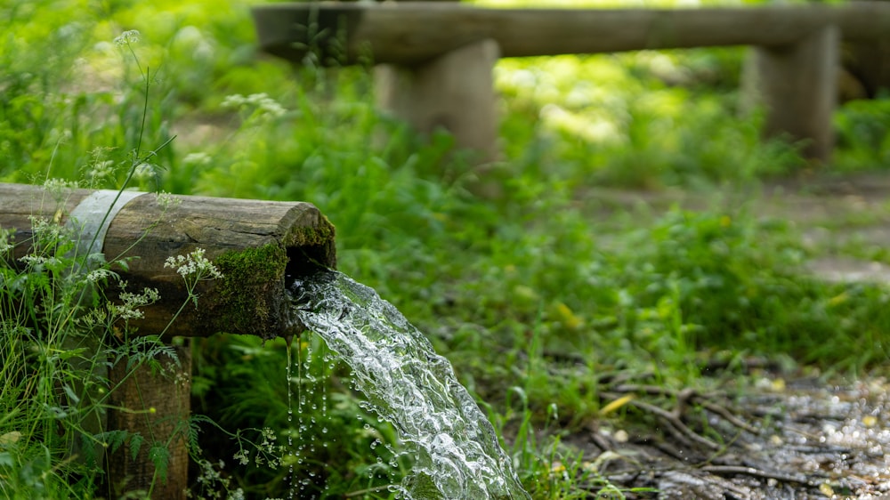 Sourcier, recherche d'eau et de sources